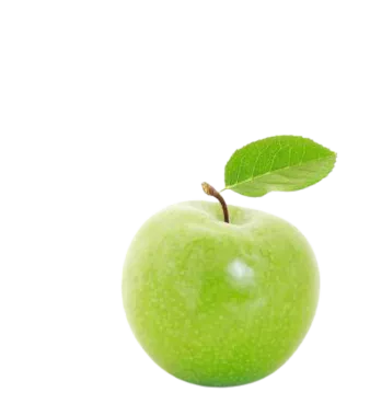 Obrázek HAMÁNEK Hruška, rakytník, jablko 6m+ 100 g (4)