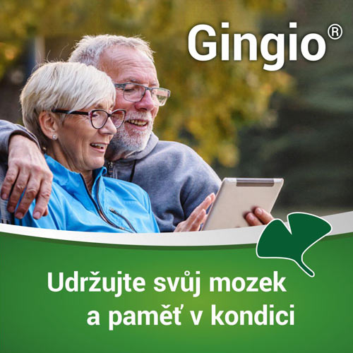 Obrázek GINGIO 40 mg 100 potahovaných tablet (8)