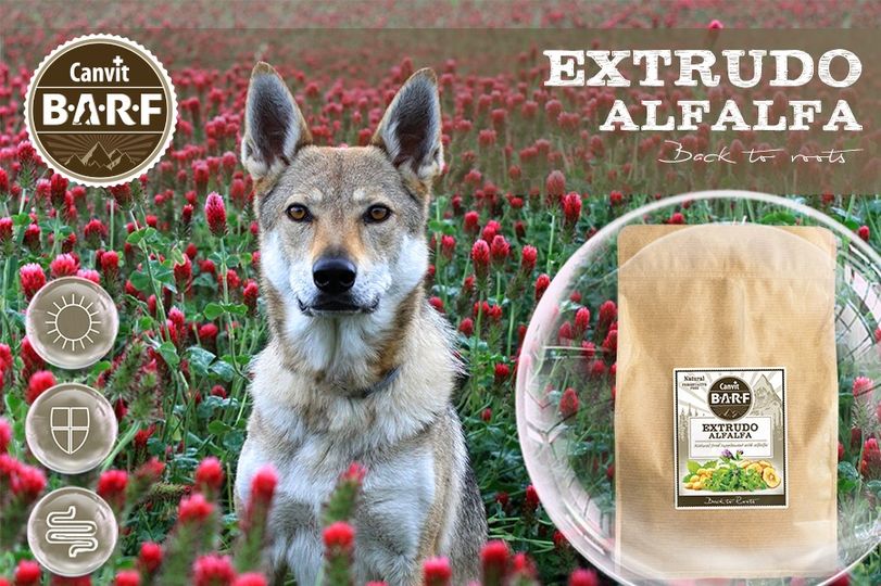 Obrázek CANVIT BARF Extrudo Alfalfa sušenky pro psy a kočky 2 kg (2)