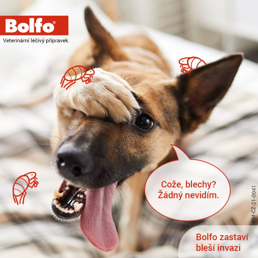 Obrázek BOLFO medikovaný obojek pro velké psy 70 cm 4.442 g 1 kus (4)