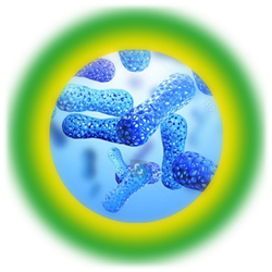 Obrázek GS Probiotic strong 120 kapslí (8)