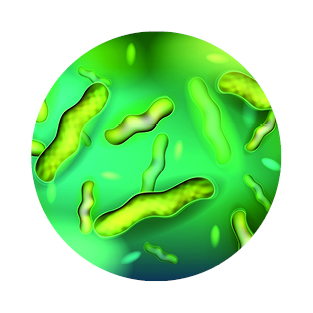 Obrázek GS Probiotic strong 120 kapslí (10)