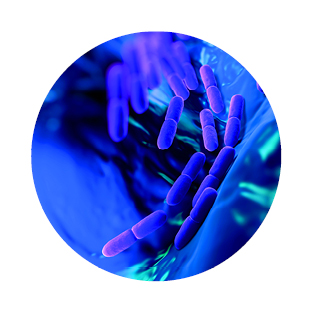 Obrázek GS Probiotic strong 120 kapslí (11)