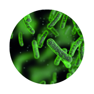 Obrázek GS Probiotic strong 120 kapslí (12)