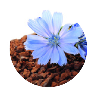 Obrázek GS Probiotic strong 120 kapslí (14)