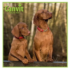 Obrázek CANVIT BARF Konopný olej pro psy 500 ml (2)