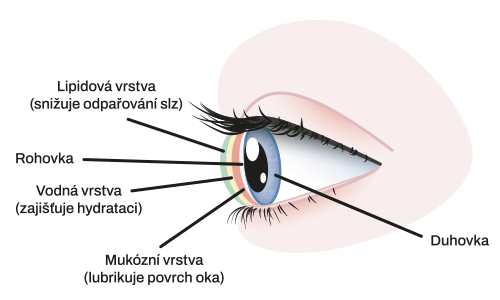 Obrázek ENEO Occusept oční kapky 2x 20 ml (8)