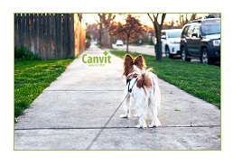 Obrázek CANVIT BARF Novozélandská slávka zelenoústá pro psy 180 g (2)