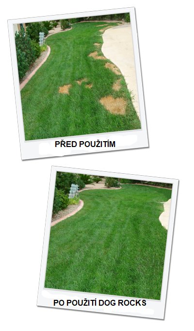 Obr&aacute;zek DOG ROCKS vulkanick&eacute; kameny 0,2kg 2 ks (4)