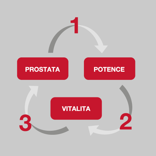 Obrázek CEMIO RED3 90 kapslí (6)