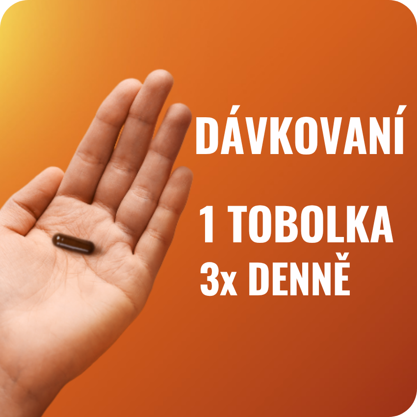 Obrázek ESSENTIALE Forte 600 mg 90 tobolek (9)