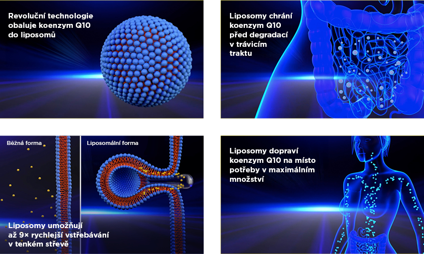 Obrázek GS Koenzym Lipo Q10 60mg 60 kapslí (6)