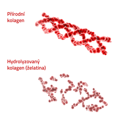 Obrázek CEMIO Kamzík 100 + 50 kapslí (6)