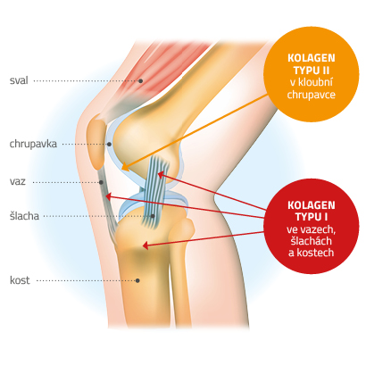 Obrázek CEMIO Kamzík 100 + 50 kapslí (11)