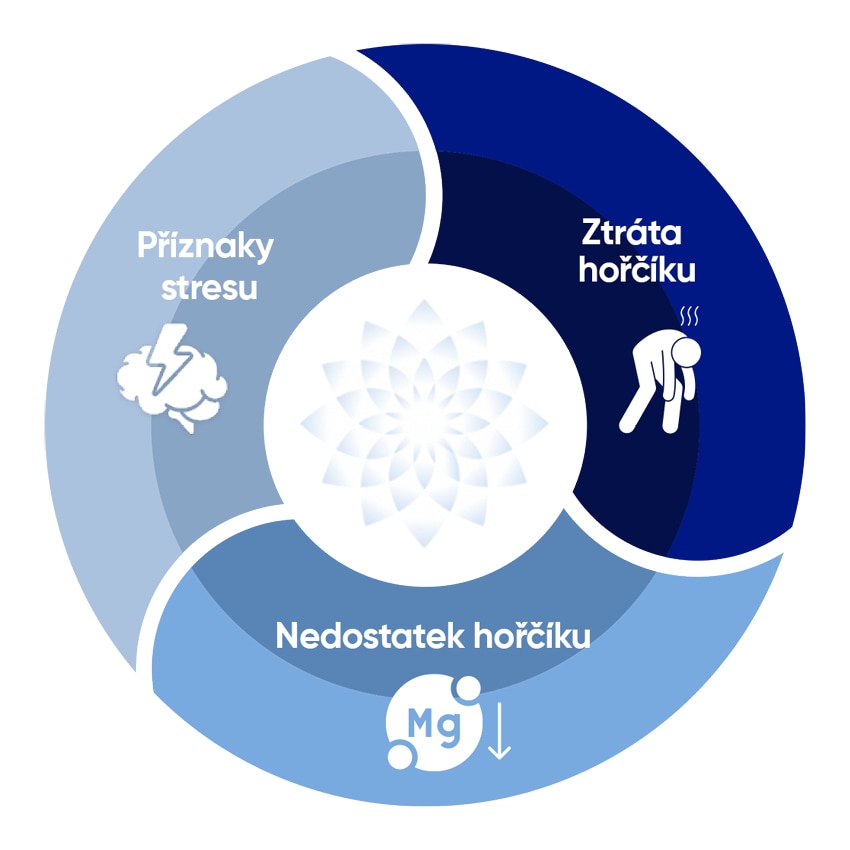 Obrázek MAGNE B6 Forte 60 potahovaných tablet (11)