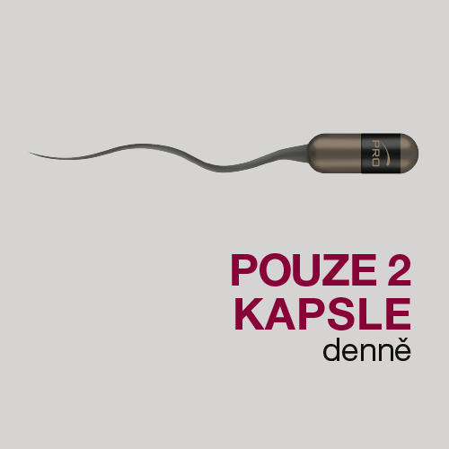 Obrázek PROfertil 60 kapslí (5)