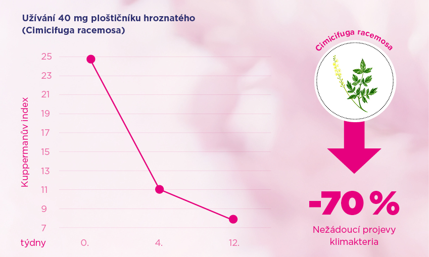 Obrázek GS Merilin original 60 tablet (18)