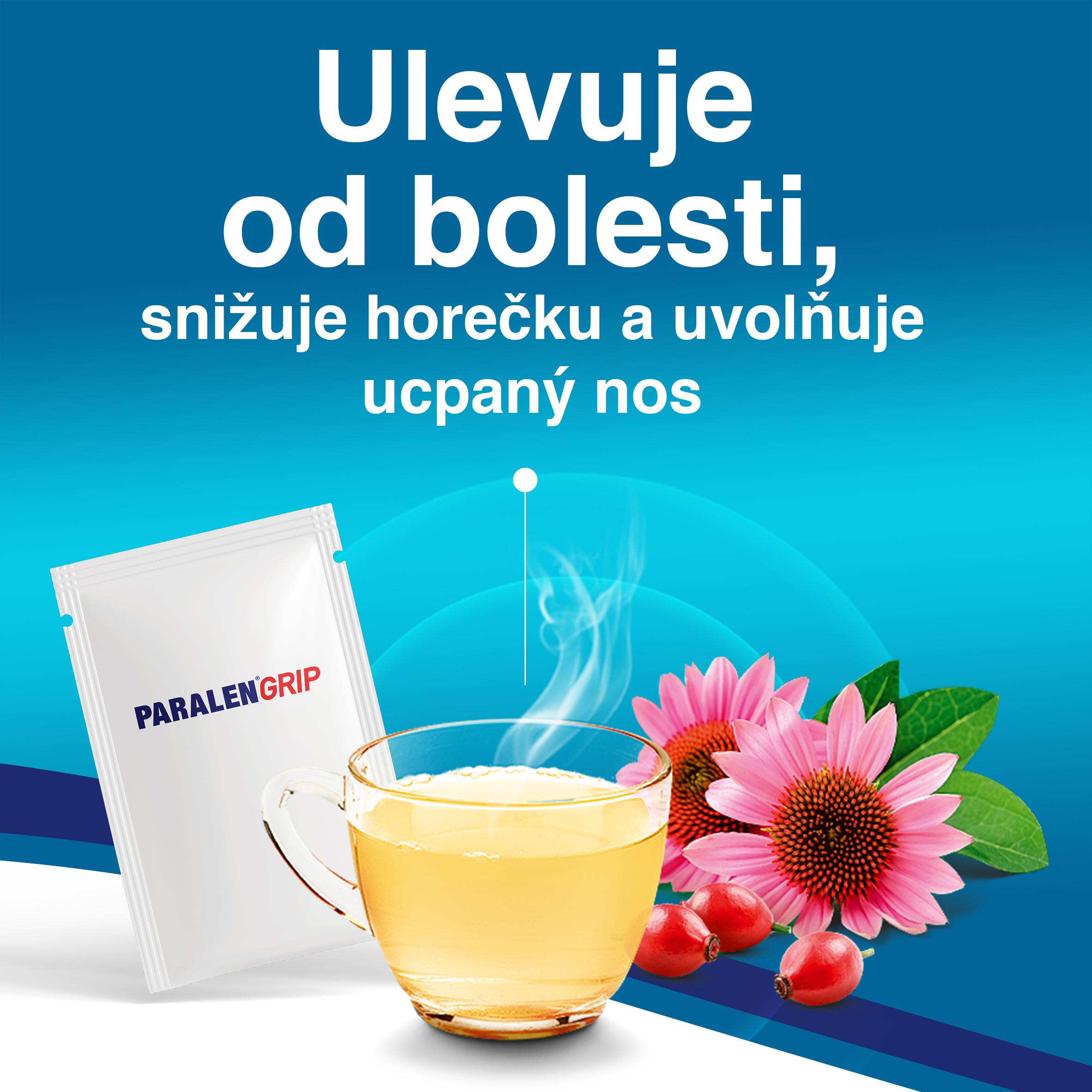 Paralen grip echinacea