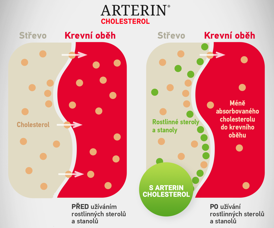 Obrázek ARTERIN Cholesterol 30 tablet (2)