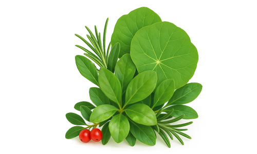 Obrázek BLOKURIMA Uroherbal Rapid 2g D-manózy sáčky 10 x 2,3 g (6)