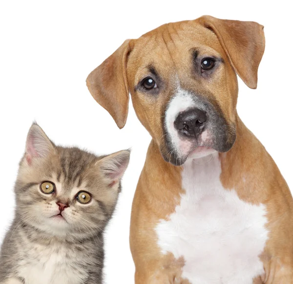 Obrázek DOUXO S3 Care šampon pro každodenní péči pro psy a kočky 200 ml