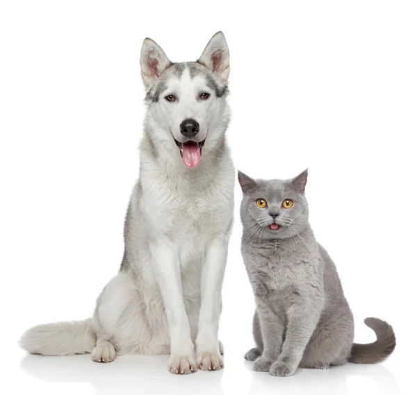 Obrázek DOUXO S3 Calm šampon pro psy a kočky 200 ml
