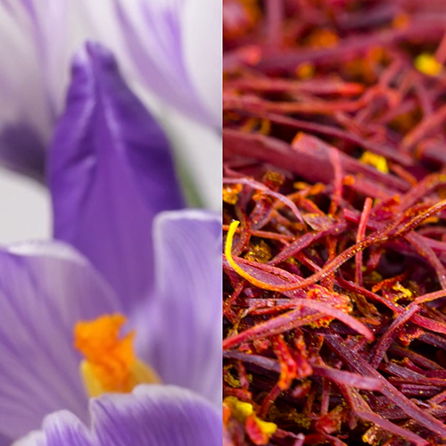 Obrázek SOLGAR MenoPrime 30 tablet (3)