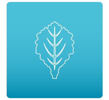 Obrázek WOBECARE Enzym 45 tobolek (4)