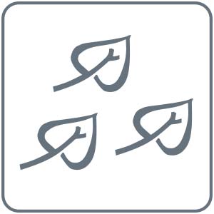 Obrázek NOBILIS TILIA Éterický olej Smrk 10 ml (2)