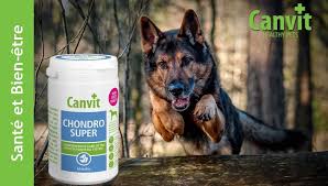 Obrázek CANVIT Chondro Super pro psy ochucené 230 g (2)