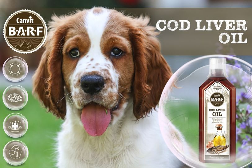 Obrázek CANVIT BARF Olej z tresčích jater pro psy 500 ml (2)