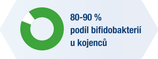 Obr&aacute;zek LINEX Baby kapky stabiln&iacute; složen&iacute; 8 ml (12)