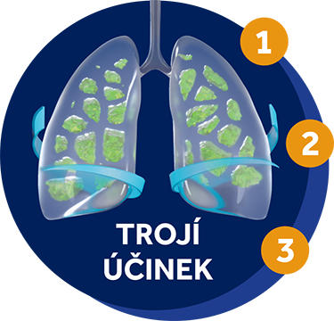 Obrázek ACC 200 mg 20 tobolek (5)