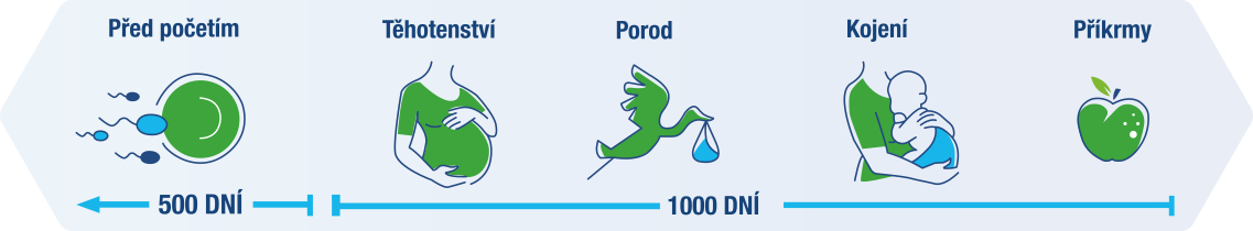 Obr&aacute;zek LINEX Baby kapky stabiln&iacute; složen&iacute; 8 ml (13)