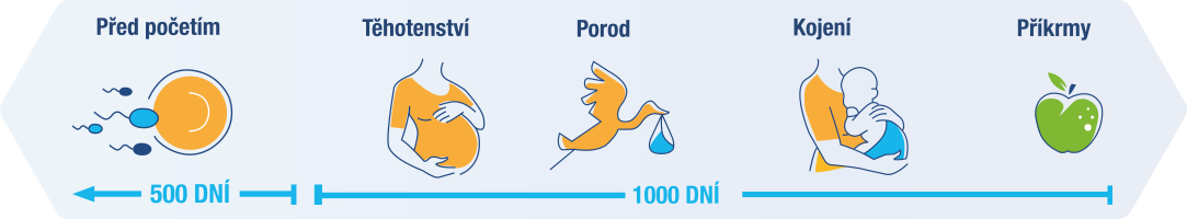 Obr&aacute;zek LINEX Baby+ s vitam&iacute;nem D 8 ml (12)