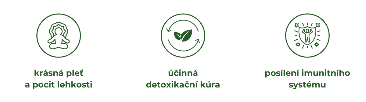 Obrázek MOVIT ENERGY Mega detox Ostropestřec a Kurkumin forte 60 veganských kapslí (2)