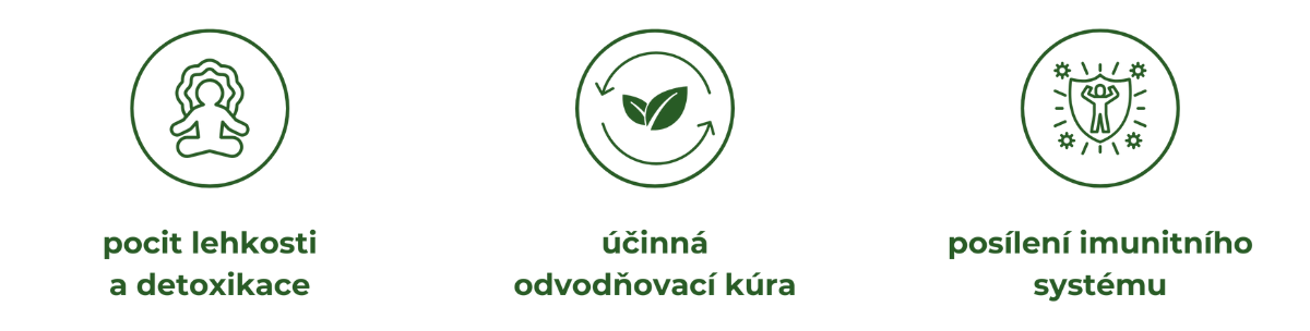 Obrázek MOVIT ENERGY Mega detox odvodnění 60 kapslí (2)