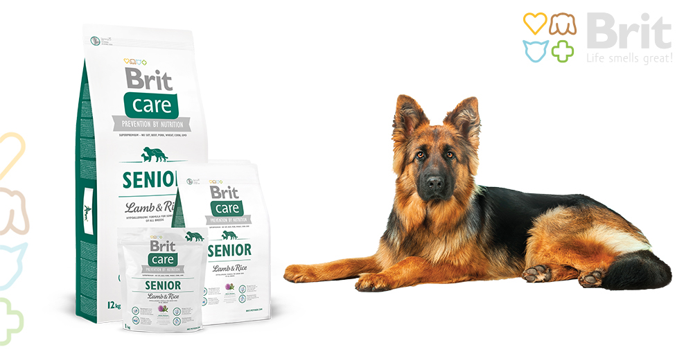 Obr&aacute;zek BRIT Care Senior Lamb & Rice granule pro psy 3 kg (5)