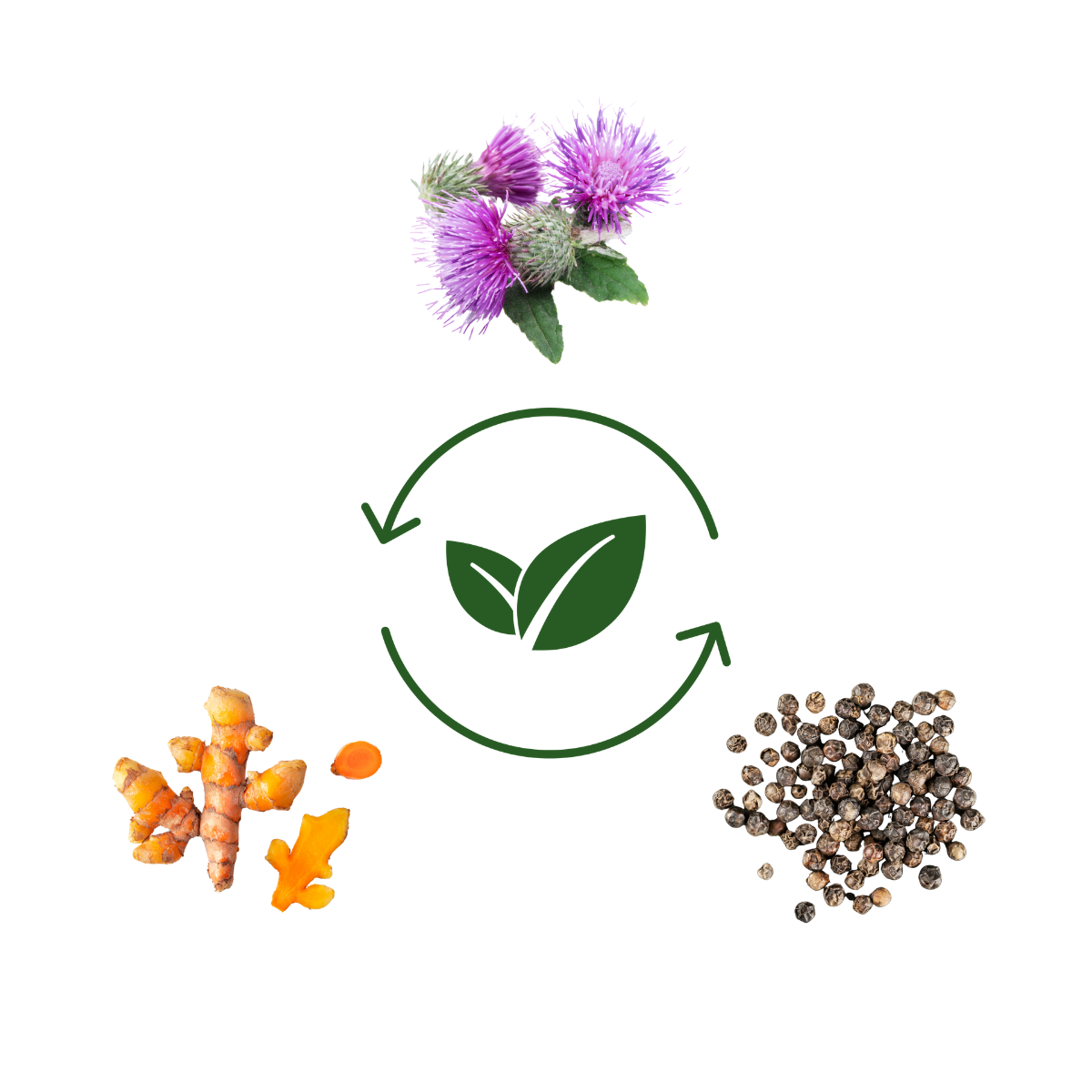 Obrázek MOVIT ENERGY Mega detox Ostropestřec a Kurkumin forte 60 veganských kapslí (4)