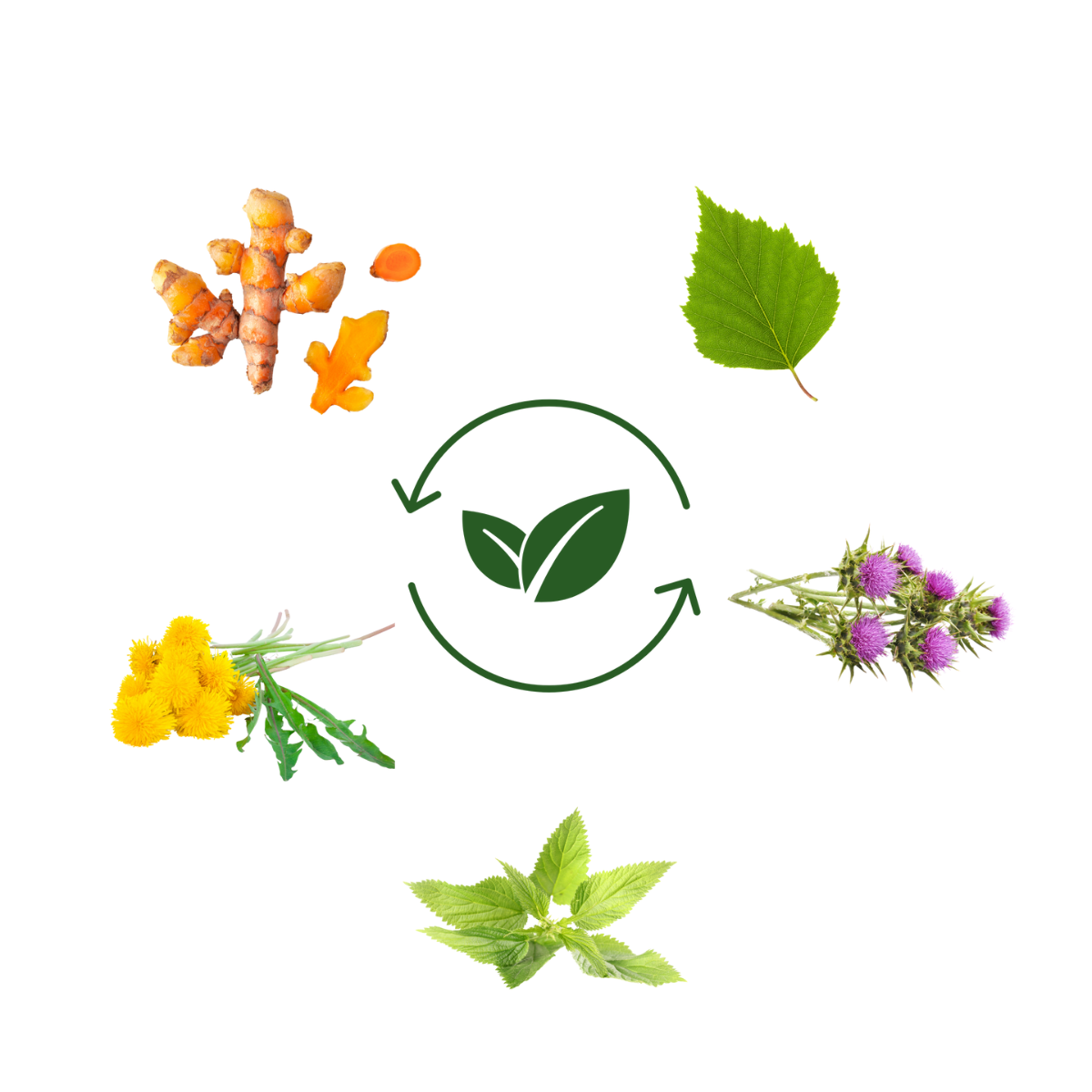 Obrázek MOVIT ENERGY Mega detox odvodnění 60 kapslí (3)