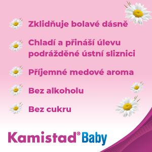 Popis obr&aacute;zku