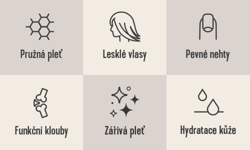 Obrázek VITAL PROTEINS Matcha collagen 341 g (2)