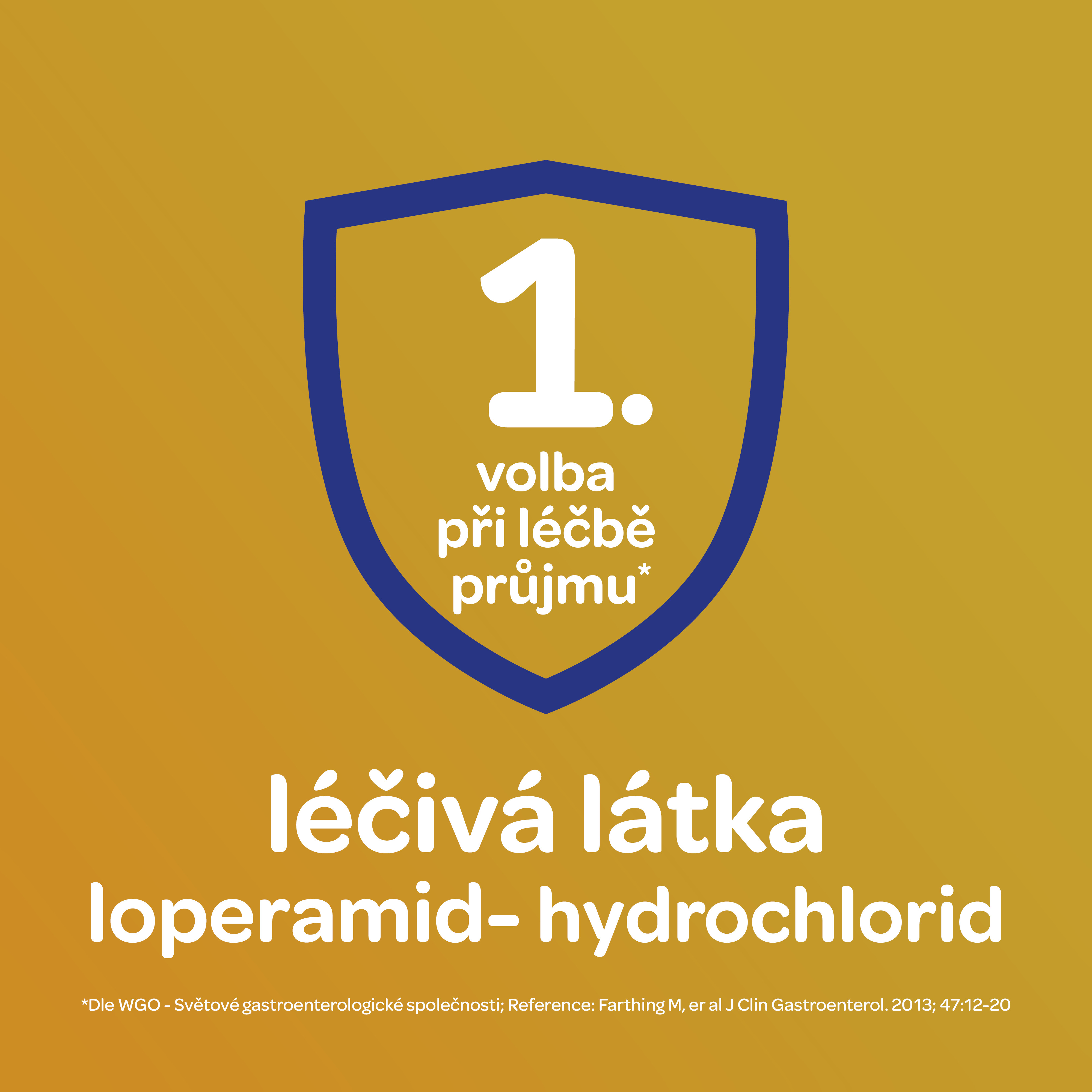 Popis obr&aacute;zku