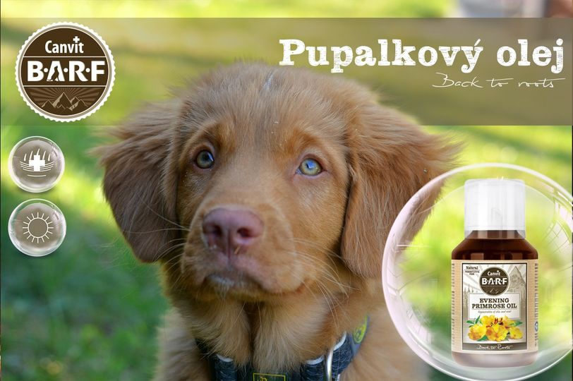 Obrázek CANVIT BARF Pupalkový olej pro psy 100 ml (2)