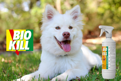 Obr&aacute;zek BIO KILL Insekticid sprej 450 ml