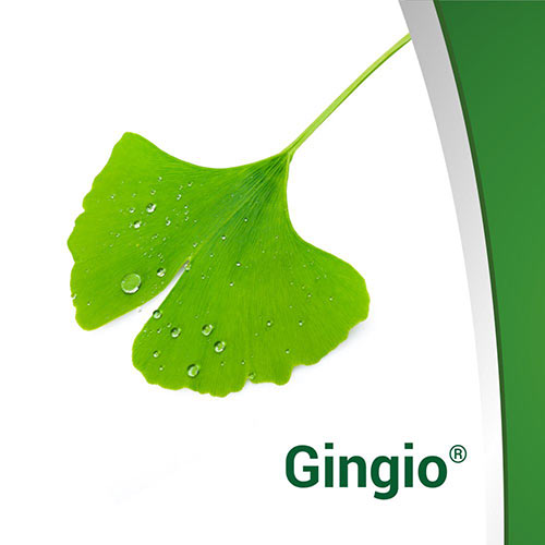 Obrázek GINGIO 40 mg 90 potahovaných tablet (6)