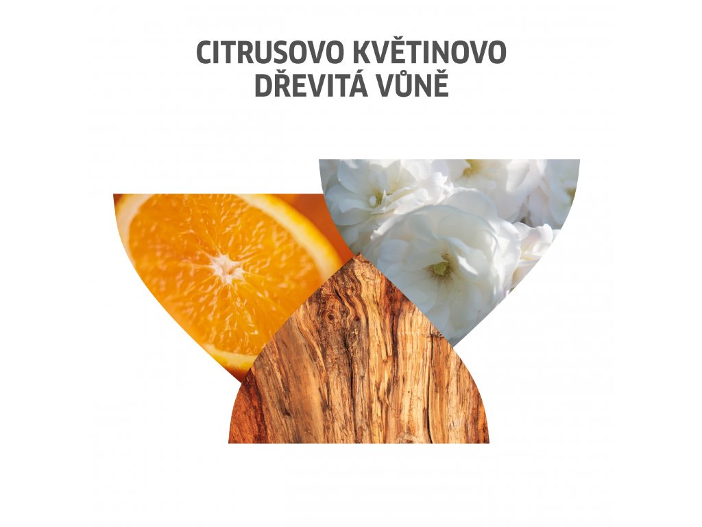 Obr&aacute;zek WELLA Invigo Color Brilliance &scaron;ampon pro hrub&eacute; barven&eacute; vlasy 50 ml