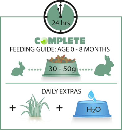 Obrázek VERSELE-LAGA Complete Cuni junior pro králíky 1,75 kg