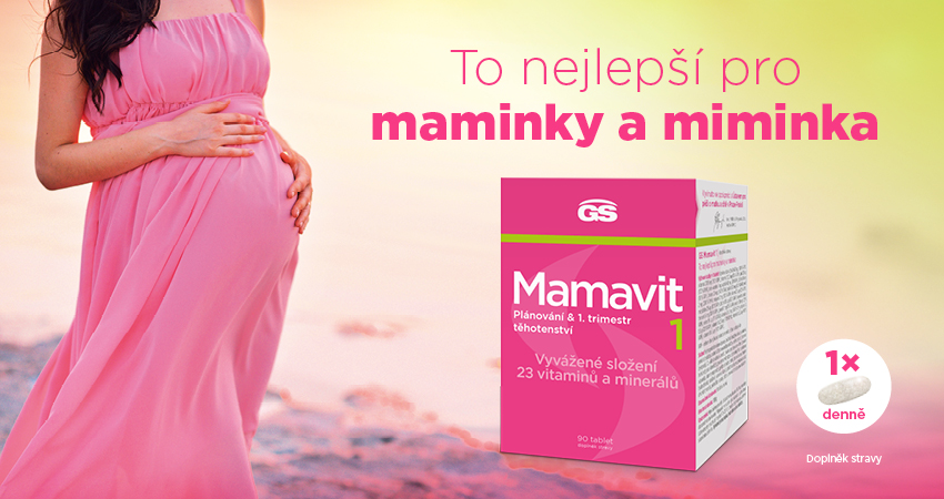 Obrázek GS Mamavit 1 Plánování a 1.trimestr 90 tablet