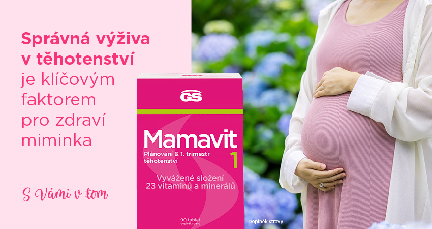 Obrázek GS Mamavit 1 Plánování a 1.trimestr 90 tablet (10)